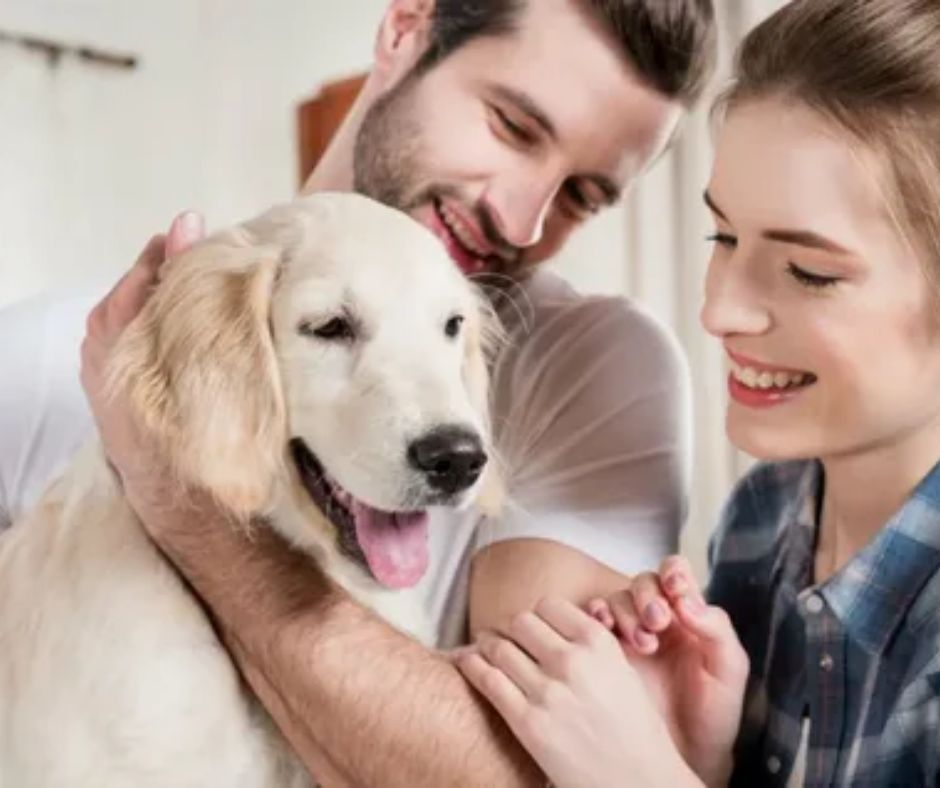 pet-happy-captions